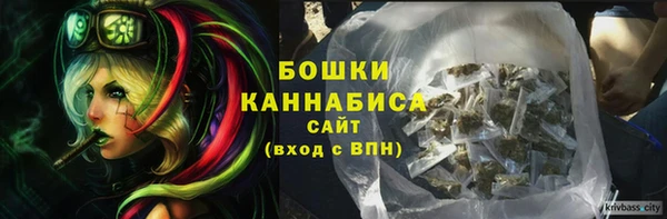 СК Богородицк