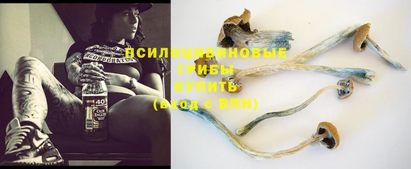 таблы Богданович