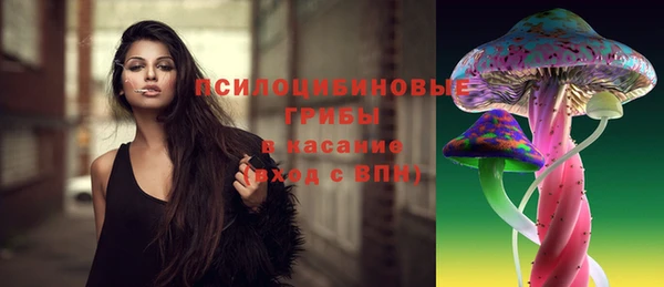 СК Богородицк