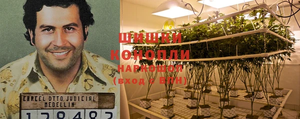 таблы Богданович