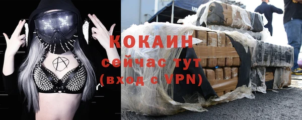 мдпв Богородск