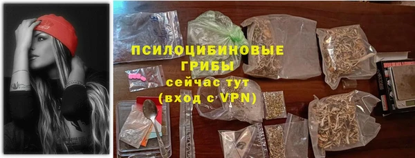 мдпв Богородск